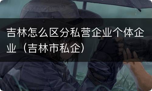 吉林怎么区分私营企业个体企业（吉林市私企）