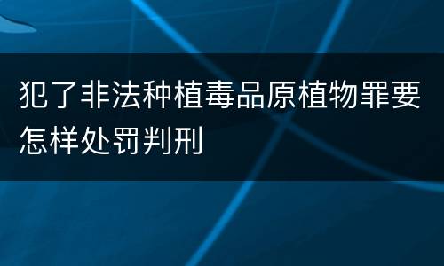 犯了非法种植毒品原植物罪要怎样处罚判刑