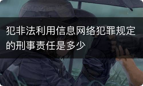 犯非法利用信息网络犯罪规定的刑事责任是多少