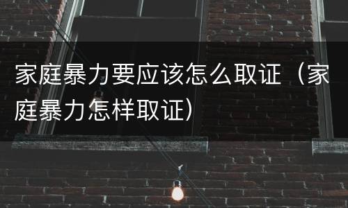 家庭暴力要应该怎么取证（家庭暴力怎样取证）