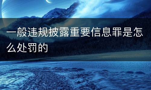 一般违规披露重要信息罪是怎么处罚的