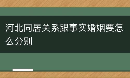 河北同居关系跟事实婚姻要怎么分别