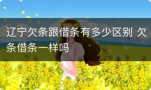 辽宁欠条跟借条有多少区别 欠条借条一样吗