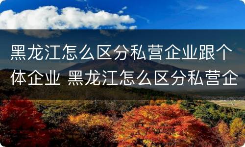 黑龙江怎么区分私营企业跟个体企业 黑龙江怎么区分私营企业跟个体企业的区别