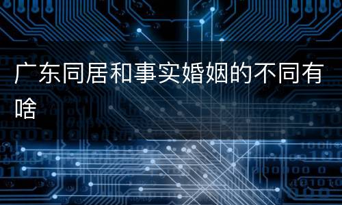 广东同居和事实婚姻的不同有啥