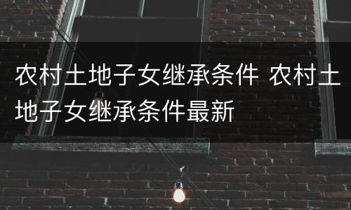农村土地子女继承条件 农村土地子女继承条件最新