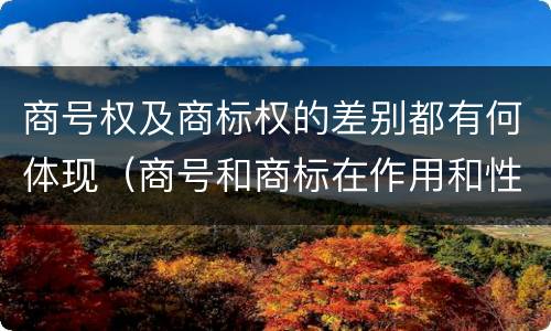 商号权及商标权的差别都有何体现（商号和商标在作用和性质上的区别）