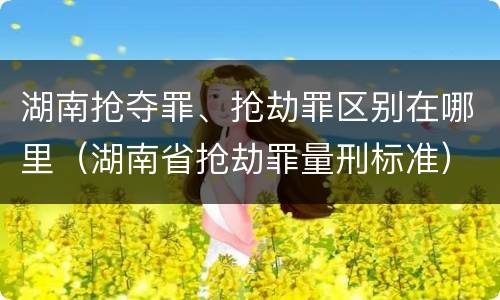 湖南抢夺罪、抢劫罪区别在哪里（湖南省抢劫罪量刑标准）