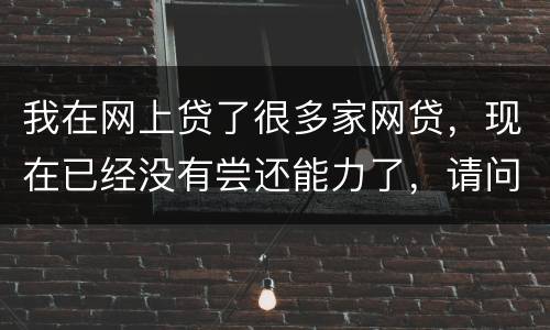 我在网上贷了很多家网贷，现在已经没有尝还能力了，请问我该怎么办，会被坐牢吗