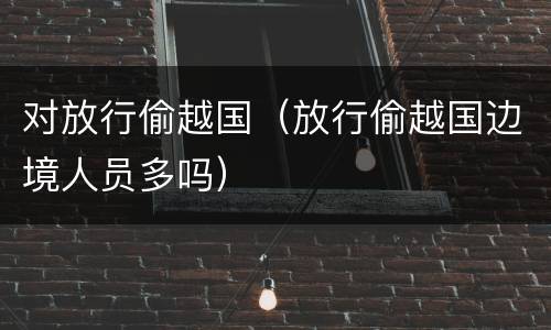 对放行偷越国（放行偷越国边境人员多吗）