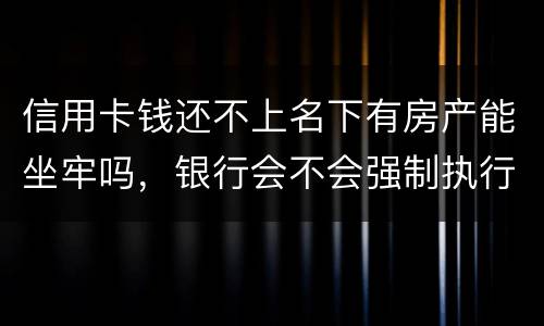 信用卡钱还不上名下有房产能坐牢吗，银行会不会强制执行