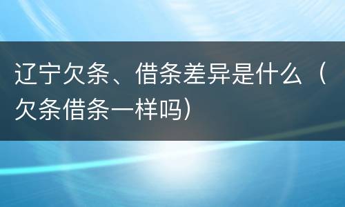 辽宁欠条、借条差异是什么（欠条借条一样吗）