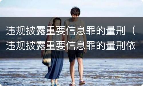 违规披露重要信息罪的量刑（违规披露重要信息罪的量刑依据）