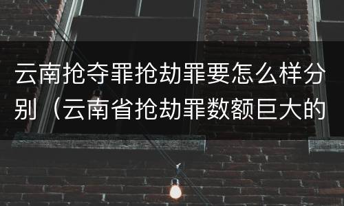 云南抢夺罪抢劫罪要怎么样分别（云南省抢劫罪数额巨大的标准）