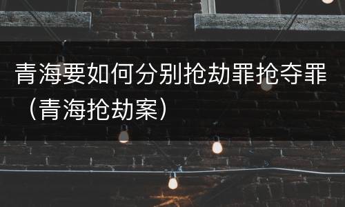 青海要如何分别抢劫罪抢夺罪（青海抢劫案）