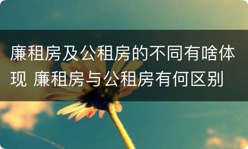 廉租房及公租房的不同有啥体现 廉租房与公租房有何区别