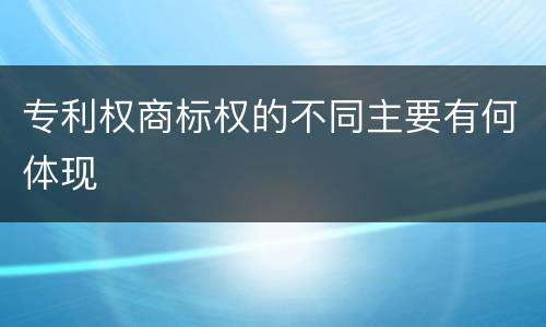 专利权商标权的不同主要有何体现