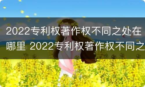 2022专利权著作权不同之处在哪里 2022专利权著作权不同之处在哪里查询