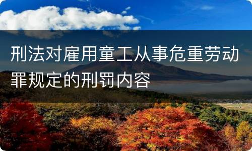 刑法对雇用童工从事危重劳动罪规定的刑罚内容