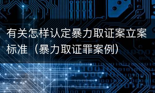 有关怎样认定暴力取证案立案标准（暴力取证罪案例）