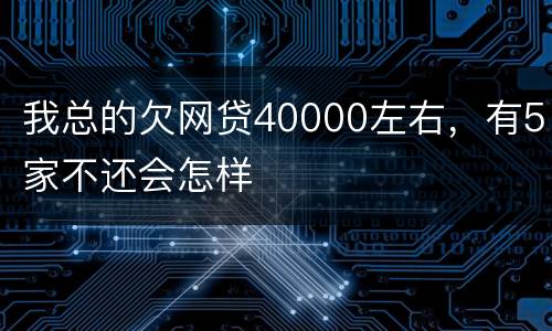 我总的欠网贷40000左右，有5家不还会怎样