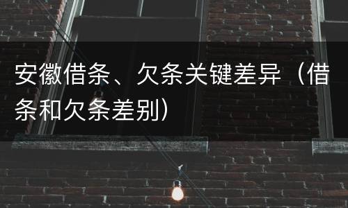 安徽借条、欠条关键差异（借条和欠条差别）