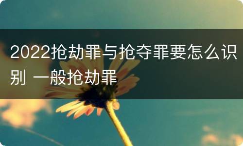 2022抢劫罪与抢夺罪要怎么识别 一般抢劫罪