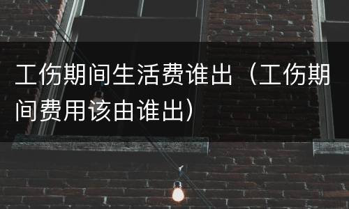 工伤期间生活费谁出（工伤期间费用该由谁出）