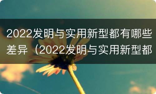 2022发明与实用新型都有哪些差异（2022发明与实用新型都有哪些差异呢）