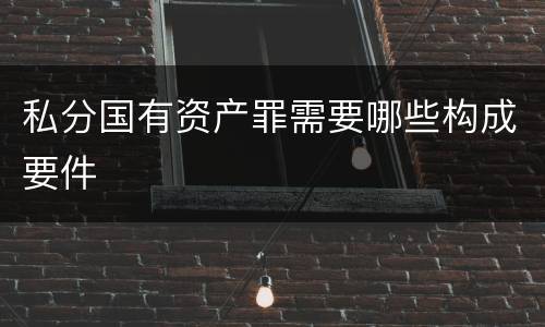 私分国有资产罪需要哪些构成要件