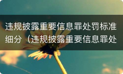 违规披露重要信息罪处罚标准细分（违规披露重要信息罪处罚标准细分为几类）