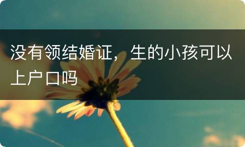 没有领结婚证，生的小孩可以上户口吗