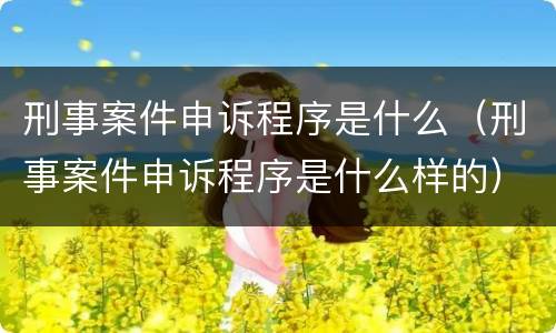 刑事案件申诉程序是什么（刑事案件申诉程序是什么样的）