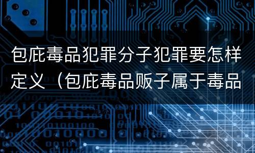 包庇毒品犯罪分子犯罪要怎样定义（包庇毒品贩子属于毒品犯罪吗）
