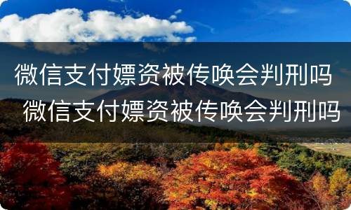 微信支付嫖资被传唤会判刑吗 微信支付嫖资被传唤会判刑吗知乎