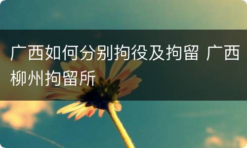 广西如何分别拘役及拘留 广西柳州拘留所