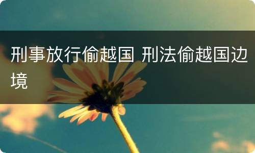 刑事放行偷越国 刑法偷越国边境