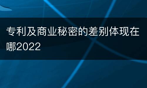 专利及商业秘密的差别体现在哪2022