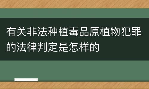 有关非法种植毒品原植物犯罪的法律判定是怎样的