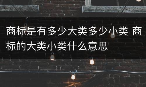 商标是有多少大类多少小类 商标的大类小类什么意思