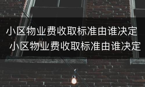 小区物业费收取标准由谁决定 小区物业费收取标准由谁决定的