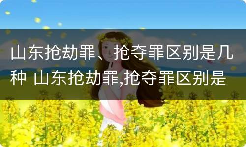 山东抢劫罪、抢夺罪区别是几种 山东抢劫罪,抢夺罪区别是几种情形