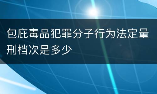 包庇毒品犯罪分子行为法定量刑档次是多少