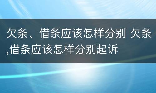 欠条、借条应该怎样分别 欠条,借条应该怎样分别起诉