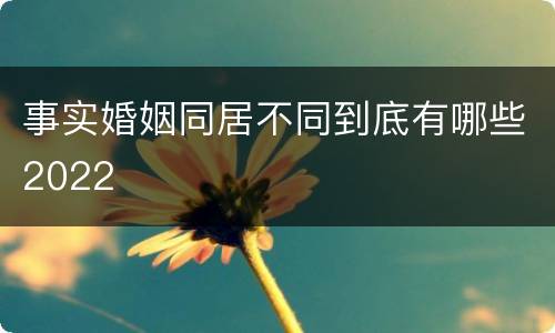 事实婚姻同居不同到底有哪些2022