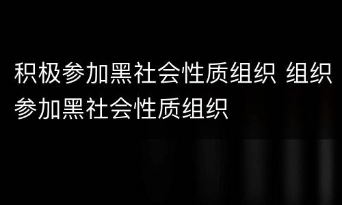 积极参加黑社会性质组织 组织参加黑社会性质组织