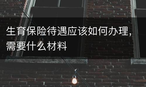 生育保险待遇应该如何办理，需要什么材料