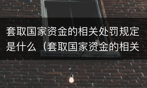套取国家资金的相关处罚规定是什么（套取国家资金的相关处罚规定是什么法律）