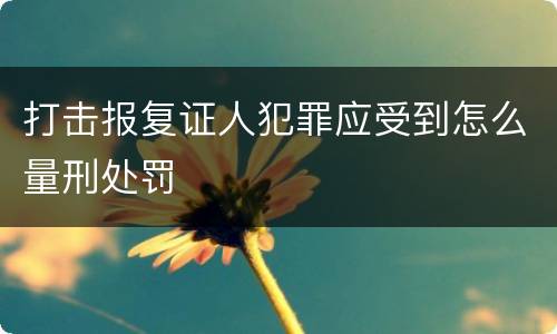 打击报复证人犯罪应受到怎么量刑处罚