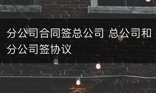 分公司合同签总公司 总公司和分公司签协议